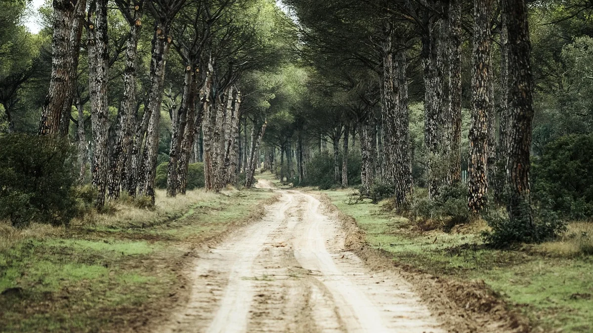 Samsun - Samsun havalimanından şehir merkezine ulaşım